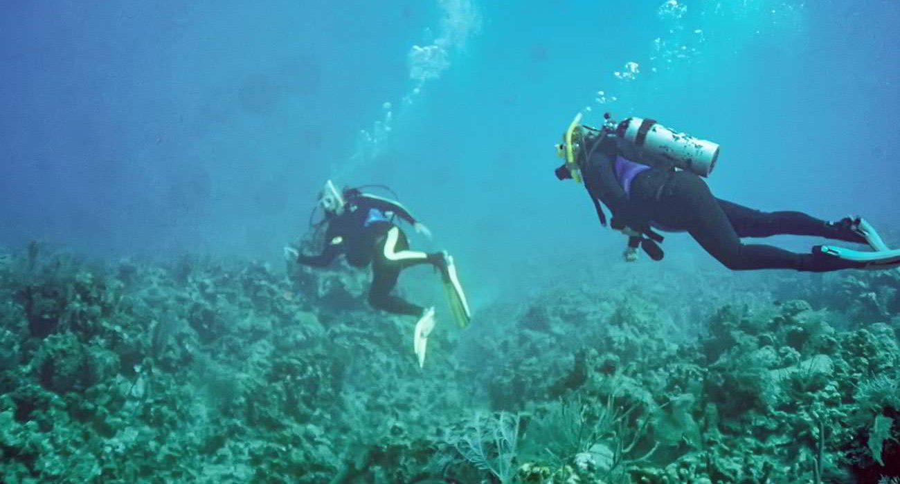 Harolds Dive Center -PADI Enriched Air Diver