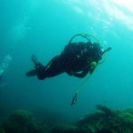 Harolds Dive Center -PADI Enriched Air Diver