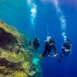 Harolds Dive Center -PADI Rescue Diver