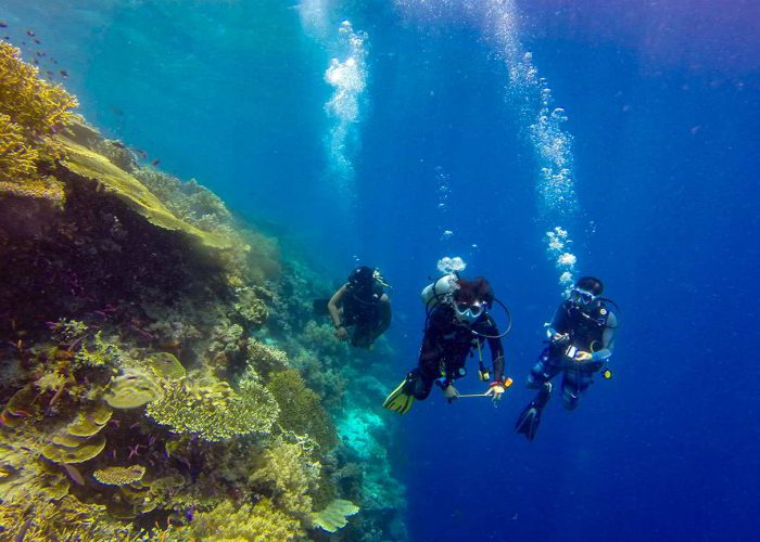 Harolds Dive Center -PADI Rescue Diver
