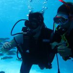 Harolds Dive Center -PADI Open Water