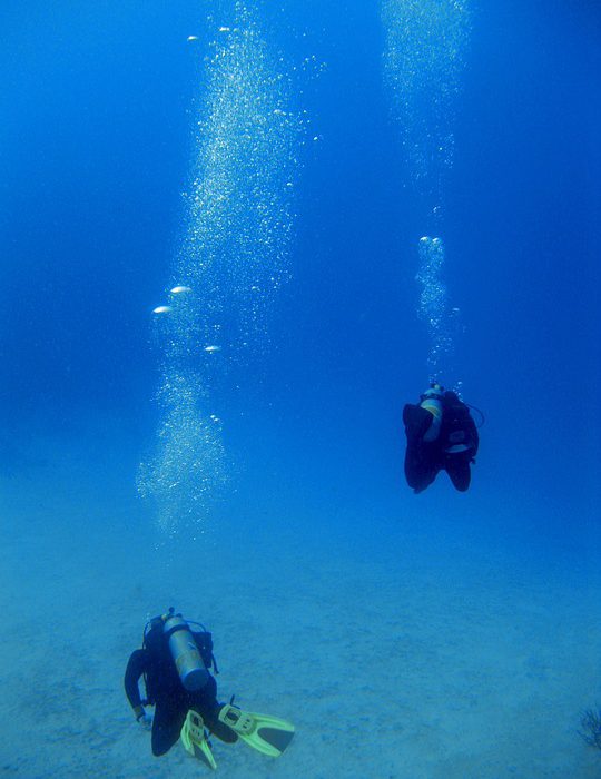 Harolds Dive Center -PADI Divemaster
