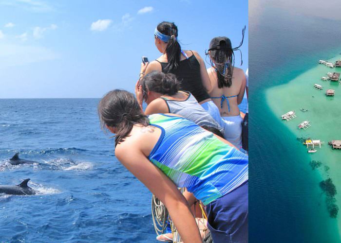 Harolds Dive Center-Bais dolphin watching and Manjuyod White sand bar