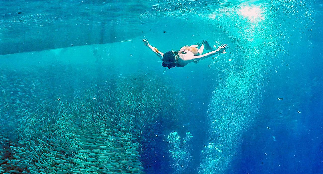 Harolds Dive Center-Moalboal Sardines Run & Inambakan Falls Day Tour