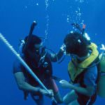 Harolds Dive Center -SSI-DIVEMASTER